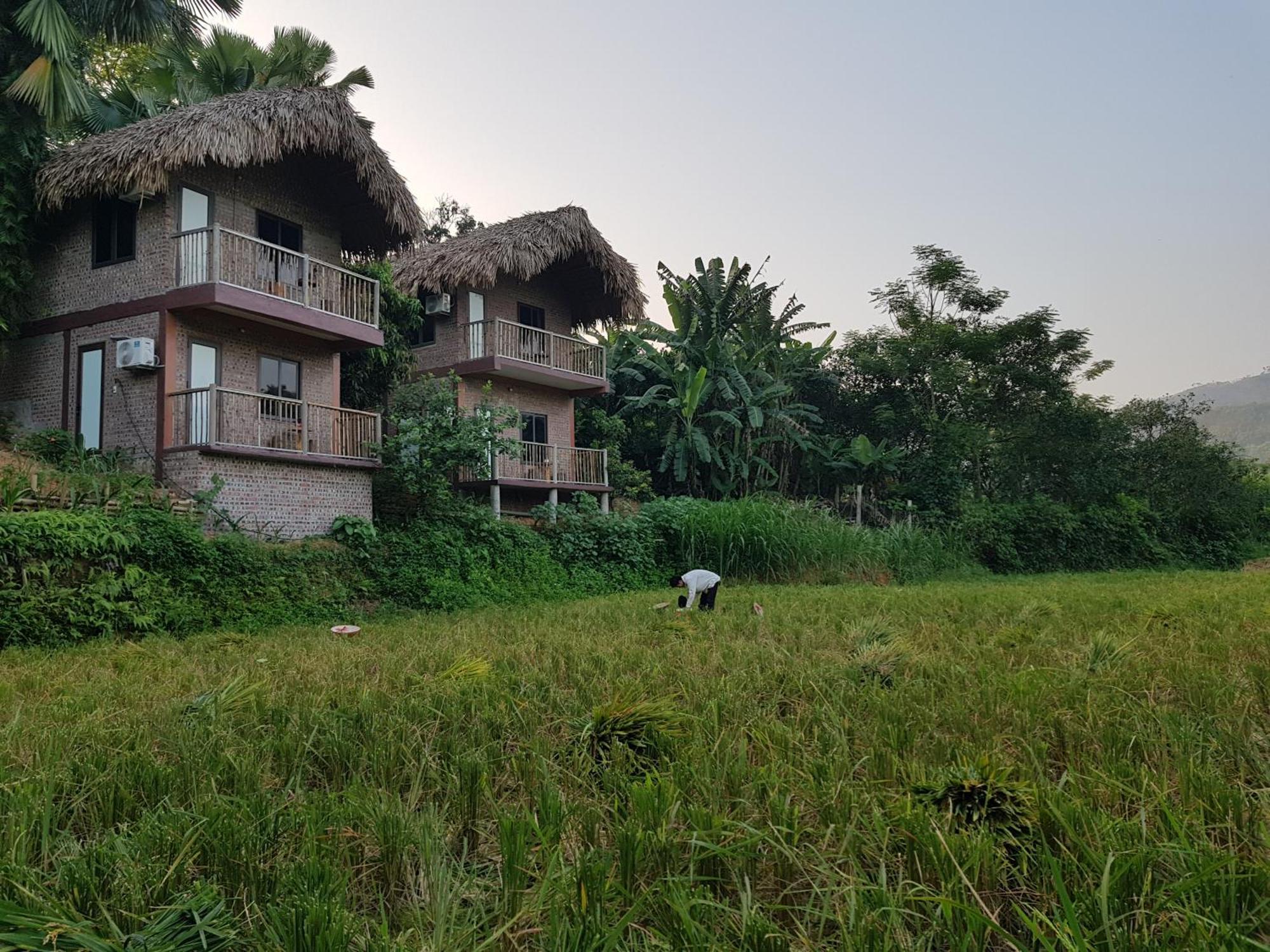 Vu Linh Palm House Homestay - Bungalow Yen Bai Extérieur photo