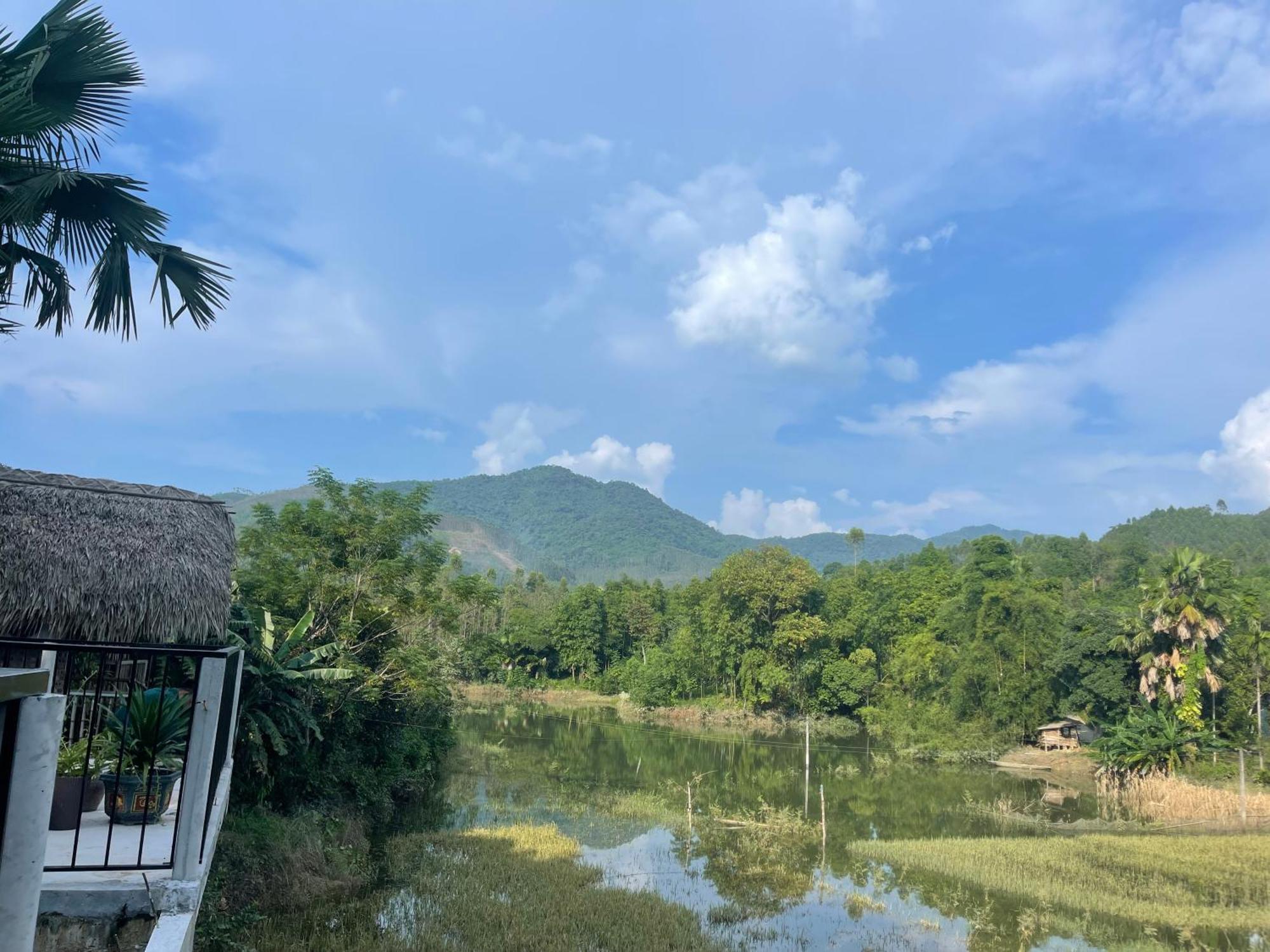 Vu Linh Palm House Homestay - Bungalow Yen Bai Extérieur photo